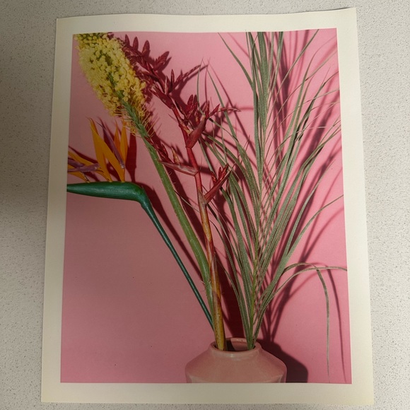 Urban Outfitters landscape Prints - set of 5 multiple sizes - Picture 6 of 6